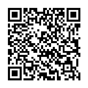 算是弥补去年这一年从援藏到回丰州任职对苏燕青的亏欠二维码生成