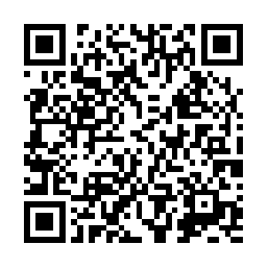 算起来从慕容仙儿阵痛到现在已经过去了差不多十个小时二维码生成