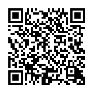 算那世俗小子再强也挡不住叶风县这全力而为的杀手锏不但是他二维码生成