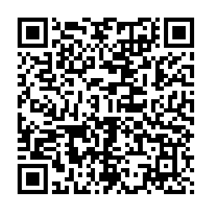 管事嬷嬷可是还记得这严三姑娘以前和小郡主爬树翻墙的英勇事迹二维码生成