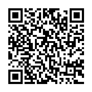 管事目光从他胸前的骨器项链和腰间插的匕首上转了一圈二维码生成