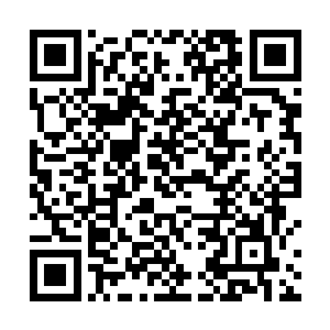 管他是什么…………只要能让郭都管和俺们大宋一条心二维码生成