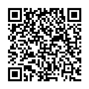 管分配的干部最烦的就是等候分配的大学生怕苦怕累不愿去乡镇二维码生成