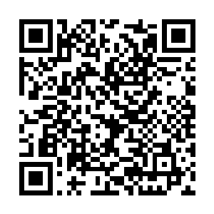 米国总统不可思议地看着自己最亲密和信任的伙伴二维码生成