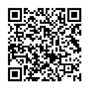 类似梓箐修炼提升自身等级实力的人还是占玩家大多数二维码生成