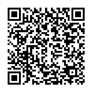 类似雷林之前见过的钢铁小树的一种带着锯齿的植被将大地完全覆盖住二维码生成
