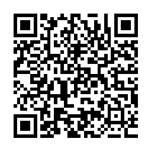 精灵女皇听了几位长老的话顿时又再一次的抛出了一个重磅炸弹二维码生成