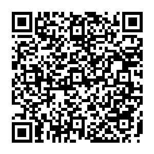 精神力向咕仔承认错误保证以后再有类似情况我会第一时间把咕仔瞬移出阴珠来帮忙我二维码生成