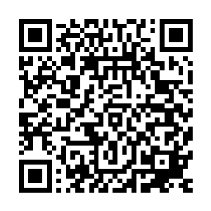 系统因我们击杀前四只怪物时表现出的效率而临时修正了剧本二维码生成
