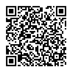 系统才会根据他们本身的实力和在试炼塔里的表现给出最终的排名二维码生成