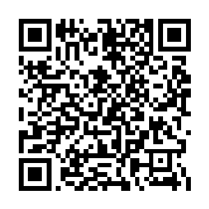 系统那冰冷机械的声音也再次从楚旬脑海中响起二维码生成