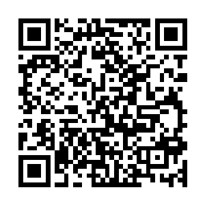 系长正在温和的引导穆根注意到这个未被发现的简历投放地点二维码生成