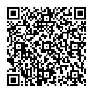 素素更是在我怀里痛哭了一场――虽然过去她总是一副小大人的模样帮我处理着家里的事二维码生成