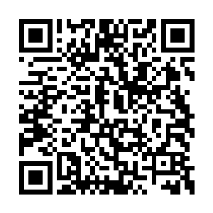 索性将鱼钩绑在钢丝上――倒不信你能继续咬断二维码生成