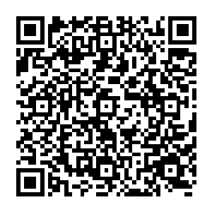 紧接着又拍摄到凯文亲自前往马里布寻找雨果的照片……一系列动作完全是连环反应二维码生成