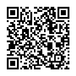 紧接着在电视台和网络上面放送出了抽抽夫妇的我结花絮画面二维码生成