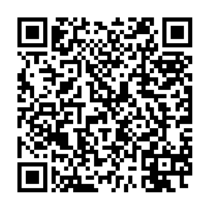 紧跟着又扔了几块从炼器殿中搜罗到的勉强可堪一用的材料扔了进去二维码生成