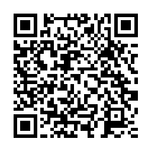 紫妍就确信在这游龙秘境当中有着无数的宝贝等待着他们挖掘二维码生成