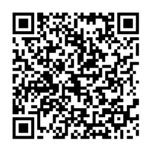 紫电今后恐怕遇到再怎么样的事情也不会轻易负气离开自己的伙伴了二维码生成