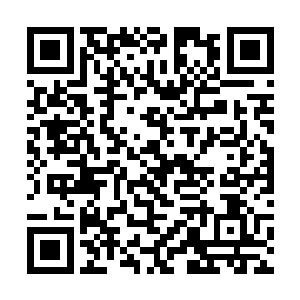 紫色的珠子和夏天乾坤印的力量狠狠的撞击在了一起二维码生成