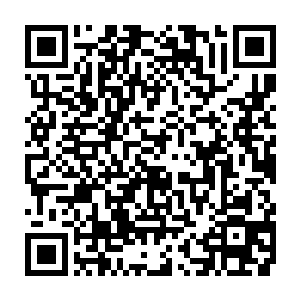 紫魇和龙魔――就是张潇晗和楚清狂在界珠里炼制的飞剑和大刀――也都祭出来二维码生成