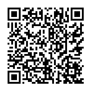 红尘仙子手腕上的三对金镯子和插在秀发上的金步摇瞬间化作金凤虚影二维码生成