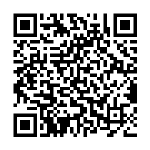 红樱的队员们刚好通过团队栏得知了队长絮怀殇的阵亡消息二维码生成