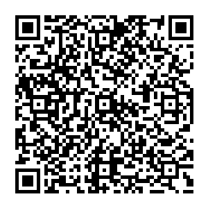 红莲一名圣皇大圆满境界的强者根本无法躲避圣帝强者的攻击被王这一爪狠狠的抓在胸膛上的九炼神火羽衣上二维码生成