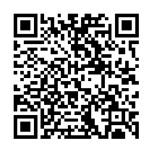 红衣主教的人生目标z动车辆只要能击杀就赶紧游动撤退……二维码生成