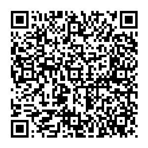 约瑟夫也知道雨果对这些一向不太在意――荣耀至死在路上巡演时也从来没有听雨果抱怨过这些小细节二维码生成