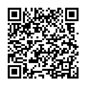 约瑟夫果然在雨果的表情里看到了不可置信的神情二维码生成