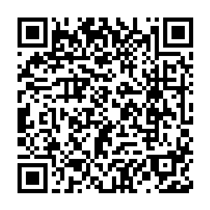 约瑟夫的外套已经被拉扯地完全变形了――那可是一件厚实的李子大衣二维码生成