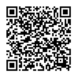 约翰尼只可能在亲眼肯定过你的演技以后给你上限为固定值的支持二维码生成