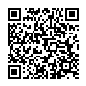 纪伯伦的确是一个很有想法而且专业知识很扎实的优秀律师二维码生成
