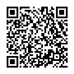 纯粹靠临场反应瞎扯淡……他也能连续说十分钟不带重样的二维码生成