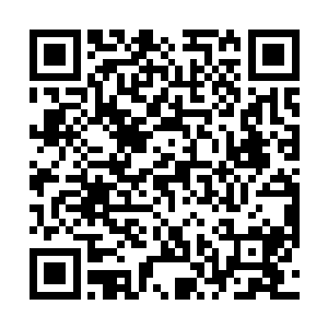 纳甲土尸手里拿着两枚钻戒和一条钻石项链递给了江帆二维码生成