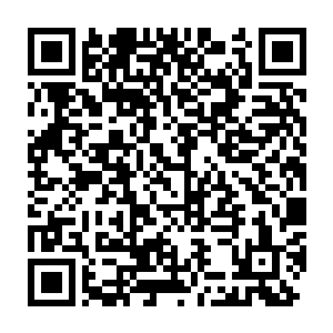 纵使耗尽他们的全部生命只能为叶笑延缓一眨眼那么短的死亡时间二维码生成