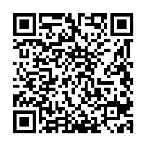 纵然明白这样的情况下随意的安慰只会让一切变得轻浮与油滑二维码生成