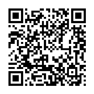组织部门也不会在纪检部门查清问题后又进行人事调整的二维码生成