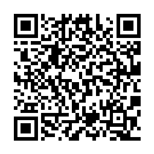 终于不用被人限制看动画的时间也不会被人说是不务正业了二维码生成