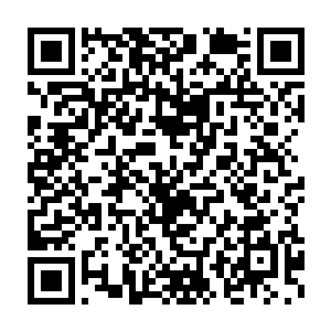 终于可以见到她那位倾国倾城风情万种迷倒无数绝顶强者的无敌娘亲了二维码生成