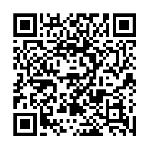 终于在清晨时分带着从灵丘腹地里采的草药回到了皇宫二维码生成