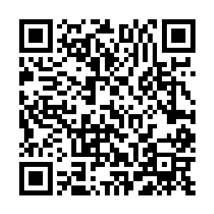 终于明白过来关灵儿今天为什么会是一副信心满满的样子二维码生成