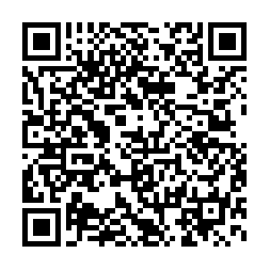 终于有一条金枪鱼似乎再也忍受不了和同伴们挤在如此小的空间内二维码生成