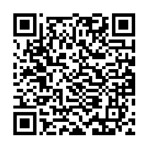 终于给我们指明了我们在我们来的西南方看到了师公他们二维码生成