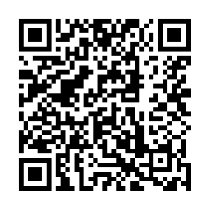 终归会在草原上把他这个扎论金顶寺的正牌法王给架空了二维码生成