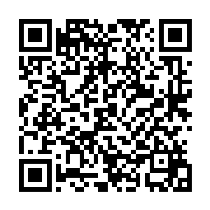 经历了无数次的生死搏杀的天网负责人蝴蝶是完全没法比的二维码生成
