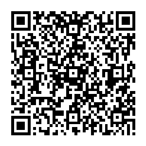 经历过痛苦折磨后仍旧坚韧不屈的傲骨更将这种冬雪寒梅的气质给锤炼的淋漓尽致二维码生成