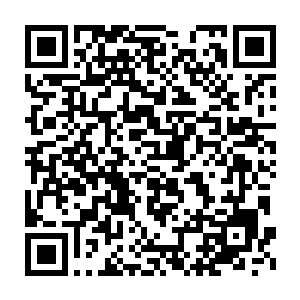 经受了常人难以忍受的极致的痛苦才勉强保存了本体的灵魂和记忆二维码生成