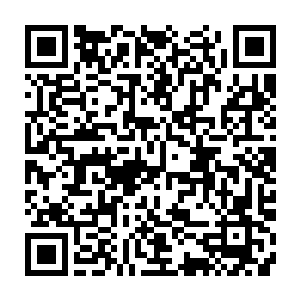 经常烦躁的看看远处宫殿又看看下方在绯红池塘中央那座莲台上一动不动二维码生成